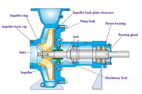 function of impeller in centrifugal pump|rotor vs impeller.